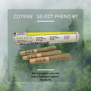 This communication is intended for adults only and should not be shared with minors! 19+ only 

COTERIE: SELECT PHENO #7 
An elevated pheno hunted variant of coteries mendo breath hybrid genetics. 2% terepenes, thc 34.7%